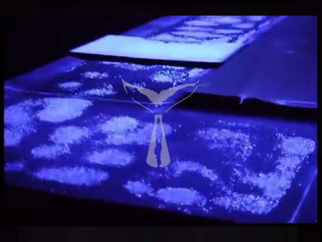 聲光電互動裝置視頻